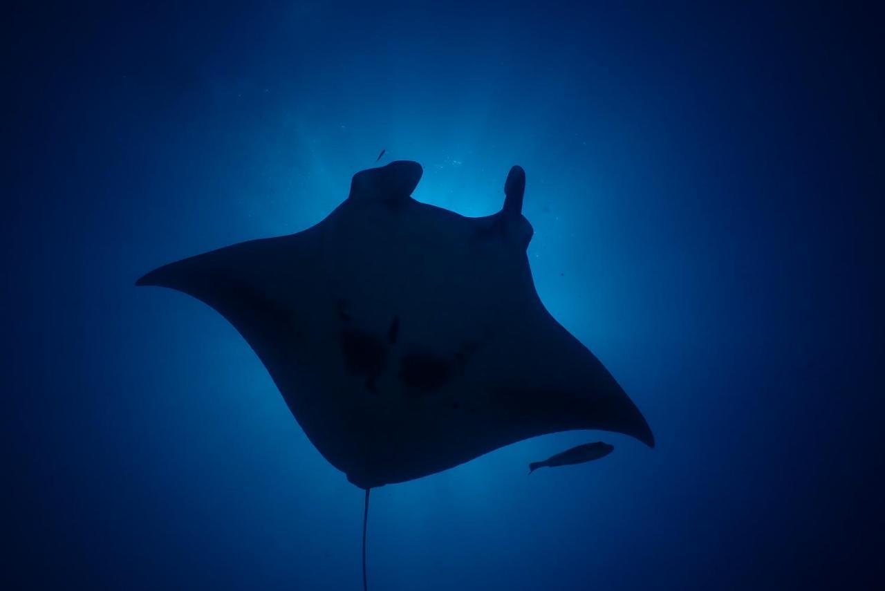 Coco Villa,Ukulhas Eksteriør billede