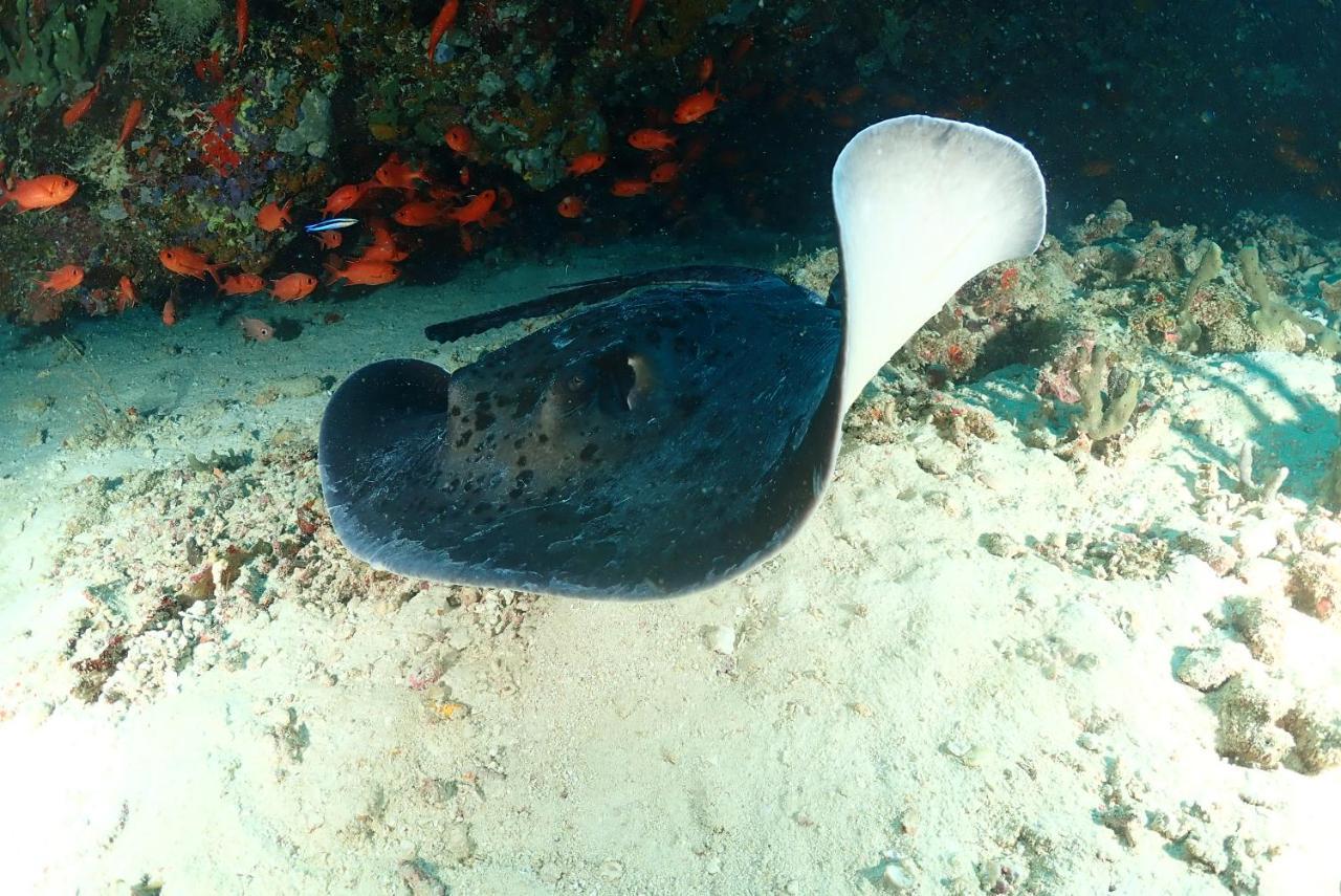 Coco Villa,Ukulhas Eksteriør billede